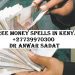 Free Money Spells in Kenya