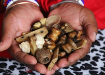Voodoo Love Spells Caster and Traditional Herbalist Healer in Australia