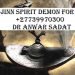 Jinn Djinn Spirit Demon for Money