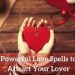 Marry Me Love Spells Immediately