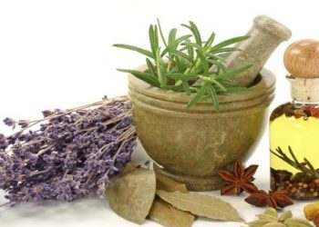 Herbalist doctor world’s oldest and most widely used form of healthcare. Centuries of experience and study have lead to a complex understanding of which herbs are most useful in which situations.