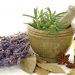 Herbalist doctor world’s oldest and most widely used form of healthcare. Centuries of experience and study have lead to a complex understanding of which herbs are most useful in which situations.