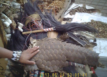 Muthi and Herbal Remedies Some may call them witch doctors, but for many in South Africa, sangomas of shops selling