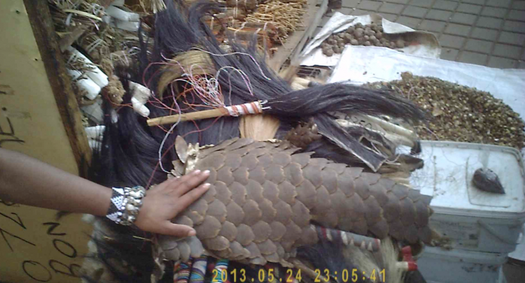 Muthi and Herbal Remedies Some may call them witch doctors, but for many in South Africa, sangomas of shops selling