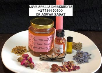 Ingredients To Use For Spells To Bring Someone Back