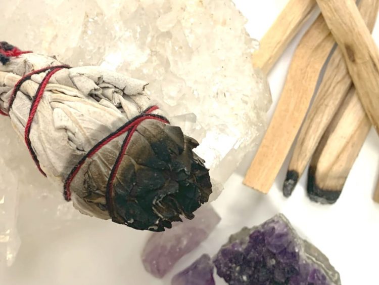 Herbs and plants used in love spells