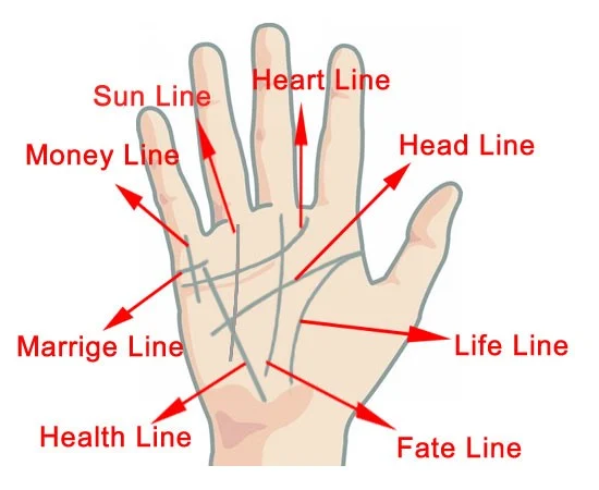 Broken Heart Line Palmistry Meaning for Your Love Life